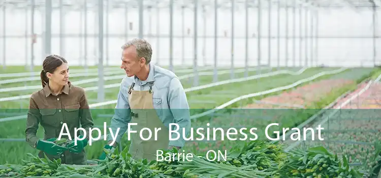 Apply For Business Grant Barrie - ON